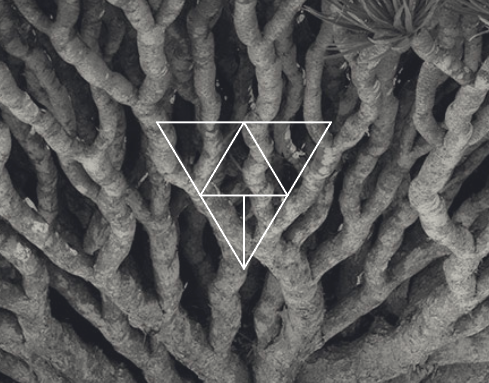 Фирменный стиль Winding Tree